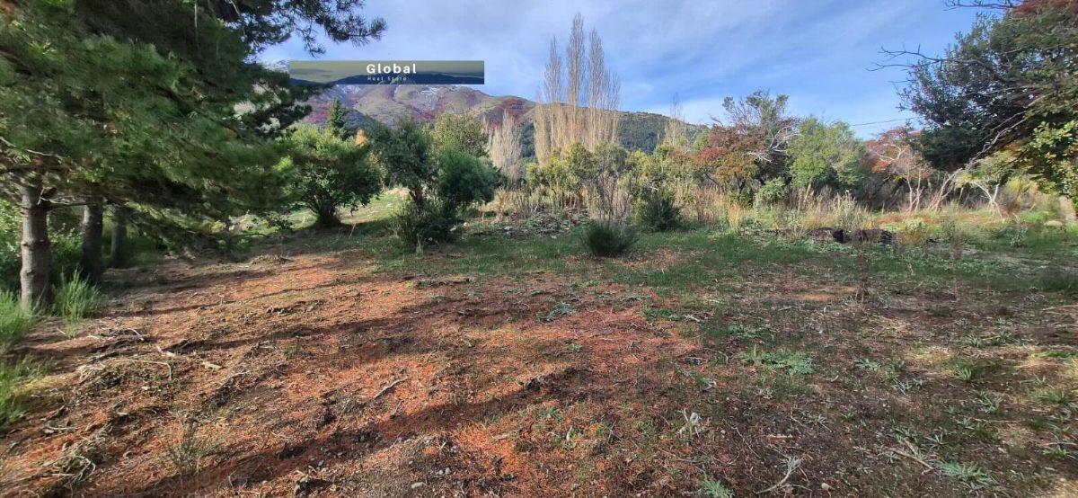 Foto de LOTE BARRIO QUILQUIHUE, LAGO LOLOG JUNÍN DE LOS ANDES PATAGONIA, imagen 1