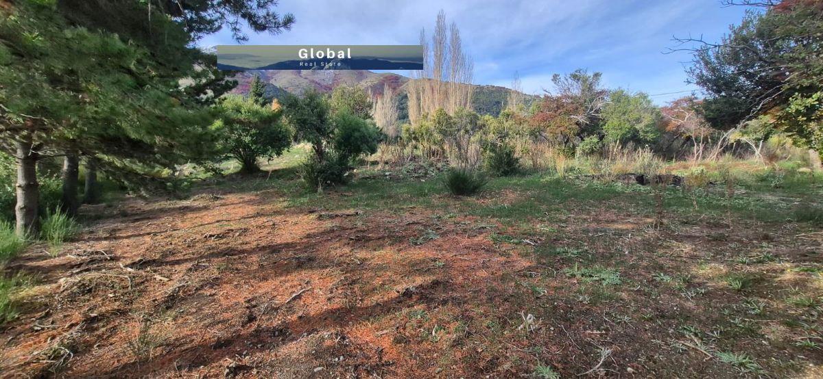 Foto de LOTE BARRIO QUILQUIHUE, LAGO LOLOG JUNÍN DE LOS ANDES PATAGONIA, imagen 4