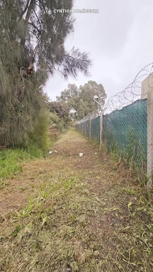 Terreno en Sourigues 1
