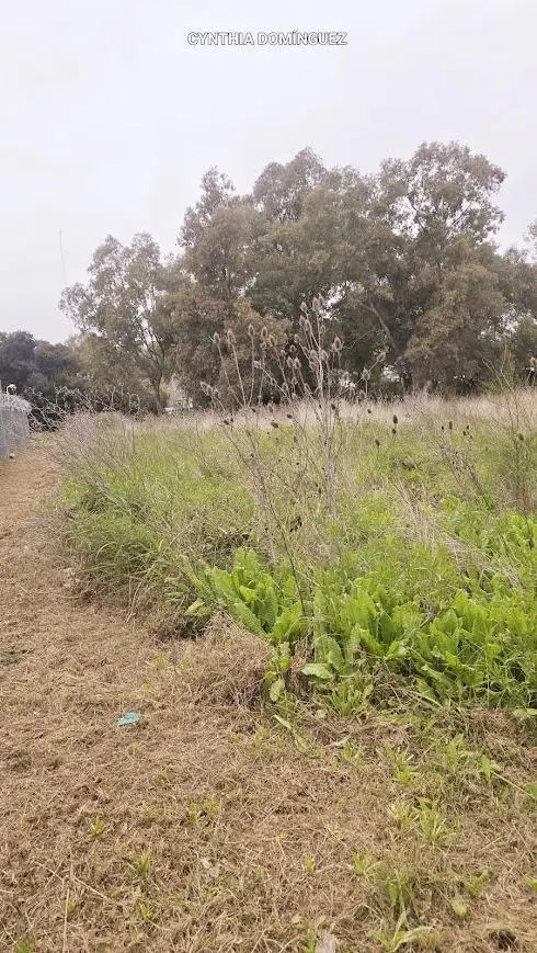 Terreno en Sourigues 5