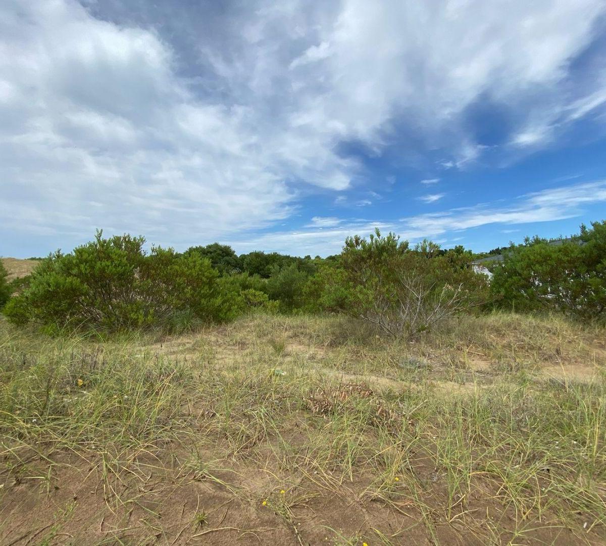 Lote. | Senderos IV Al 400 2