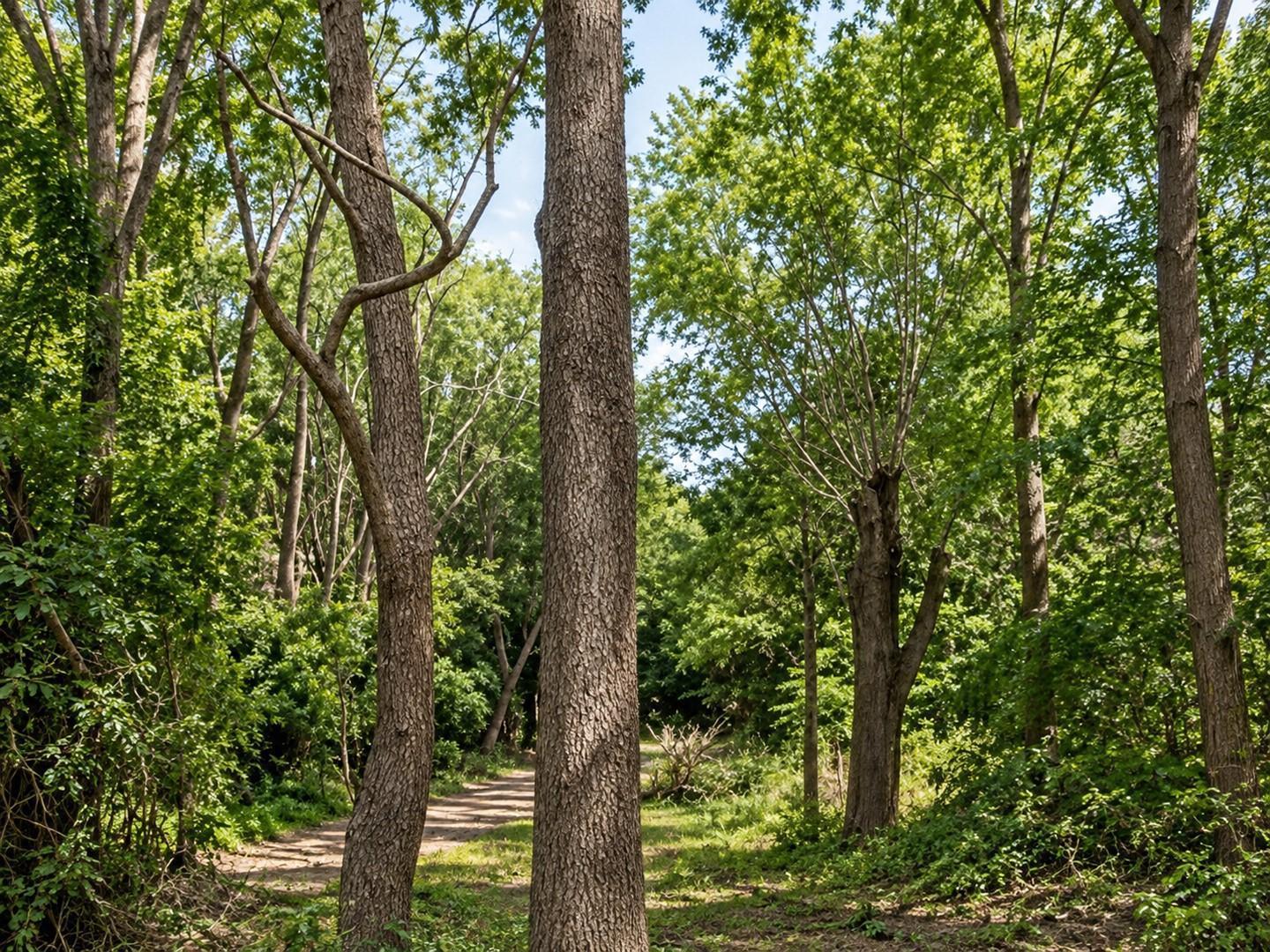 Foto de Terreno Lote en Venta en Costa Del Este, Costa Atlántica, Buenos Aires, imagen 4