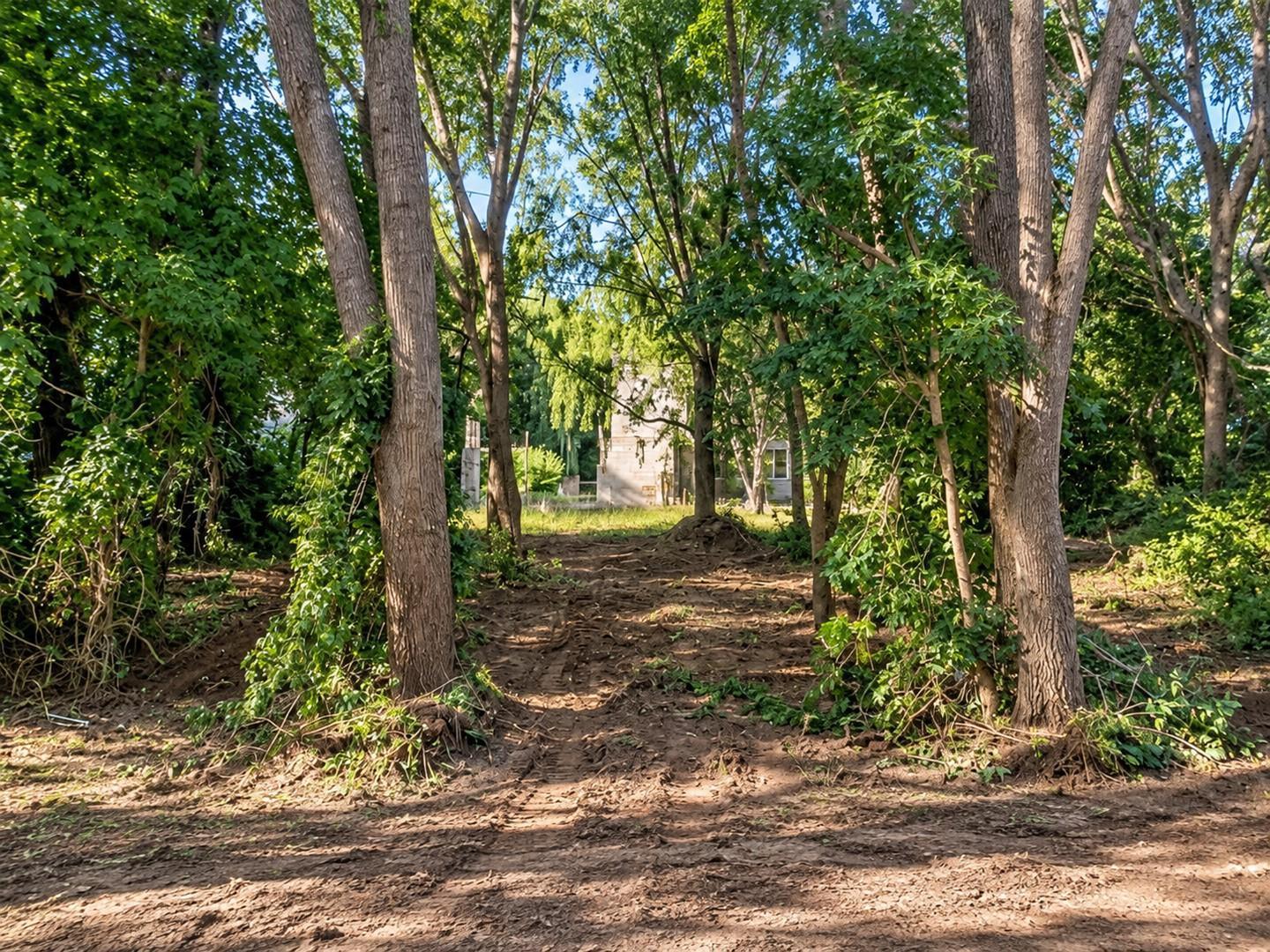 Foto de Terreno Lote en Venta en Costa Del Este, Costa Atlántica, Buenos Aires, imagen 5