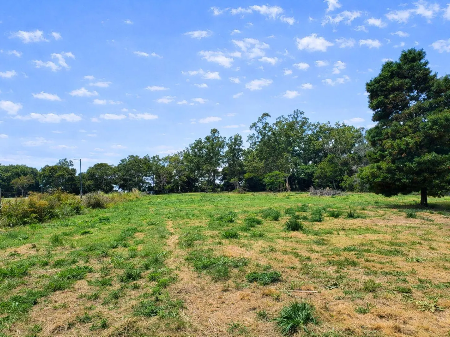 Fracción de 9.000m² en alquiler–ideal emprendimiento Sicardi 4
