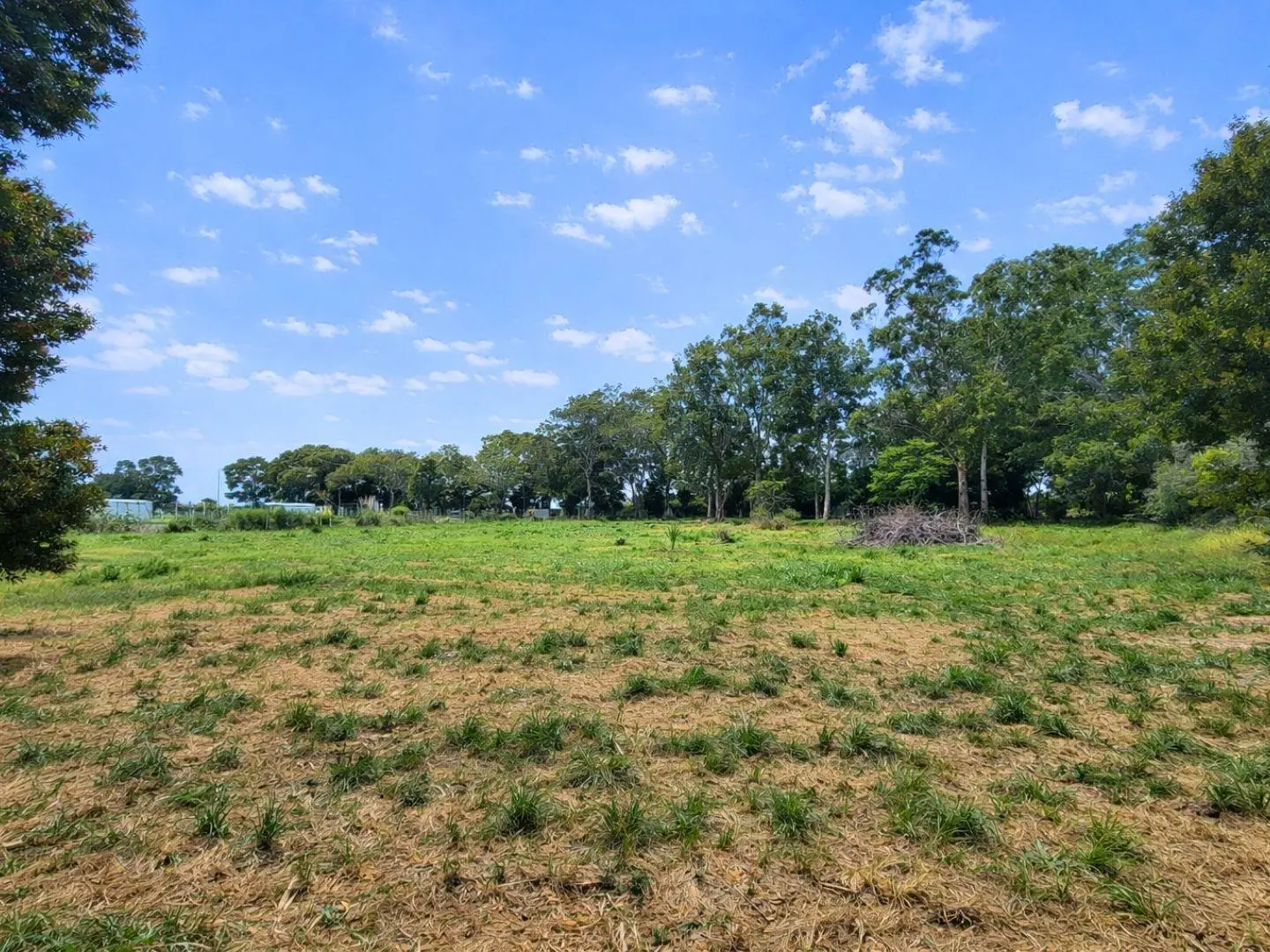 Fracción de 9.000m² en alquiler–ideal emprendimiento Sicardi 3