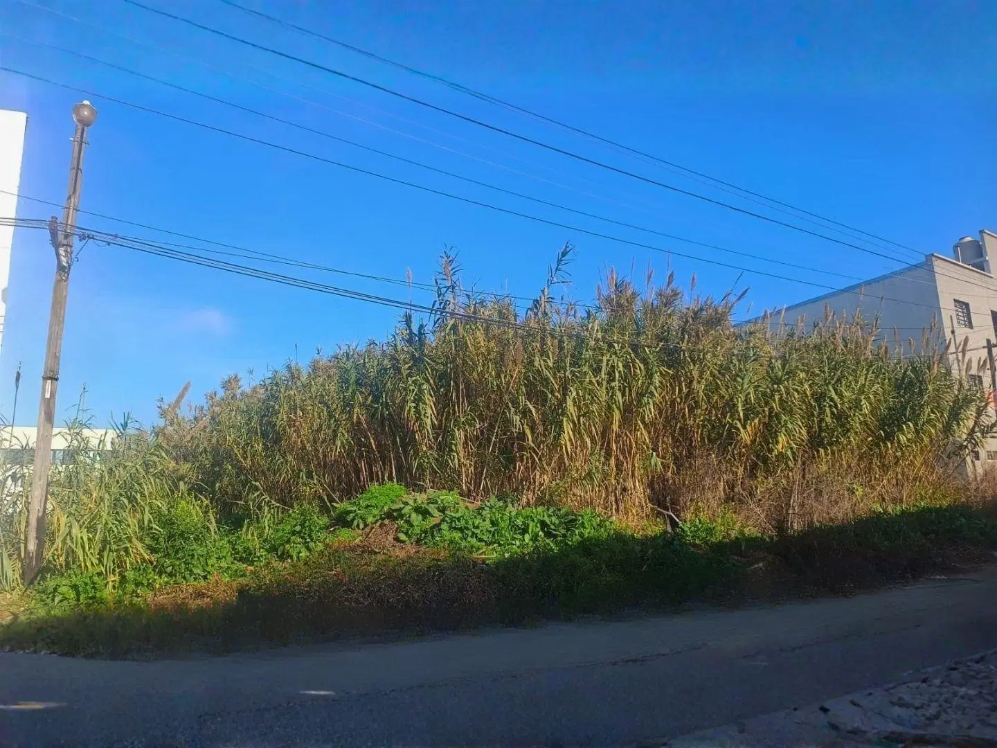 Venta lote 900 mts2-Los Hornos 5