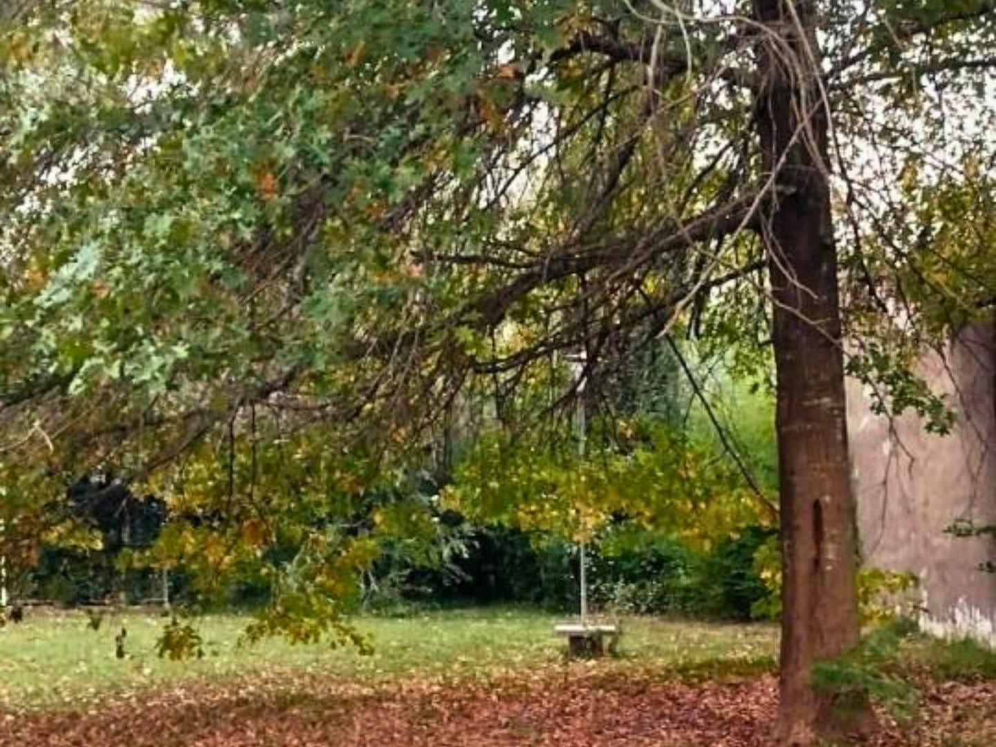 Foto de VENTA LOTE EN EL PATO CALLE 622 A METROS DE RUTA 2, imagen 4