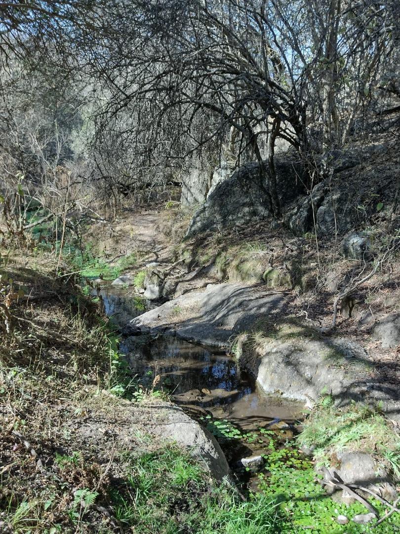 Foto de VENDO Campo 30 hs y Casa con un arroyo propio en Tulumba!!!, imagen 1