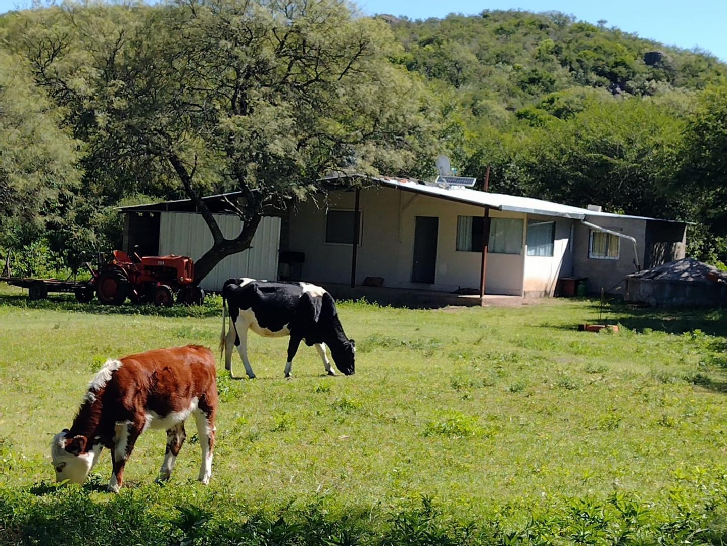 Foto de VENDO Campo 30 hs y Casa con un arroyo propio en Tulumba!!!, imagen 4