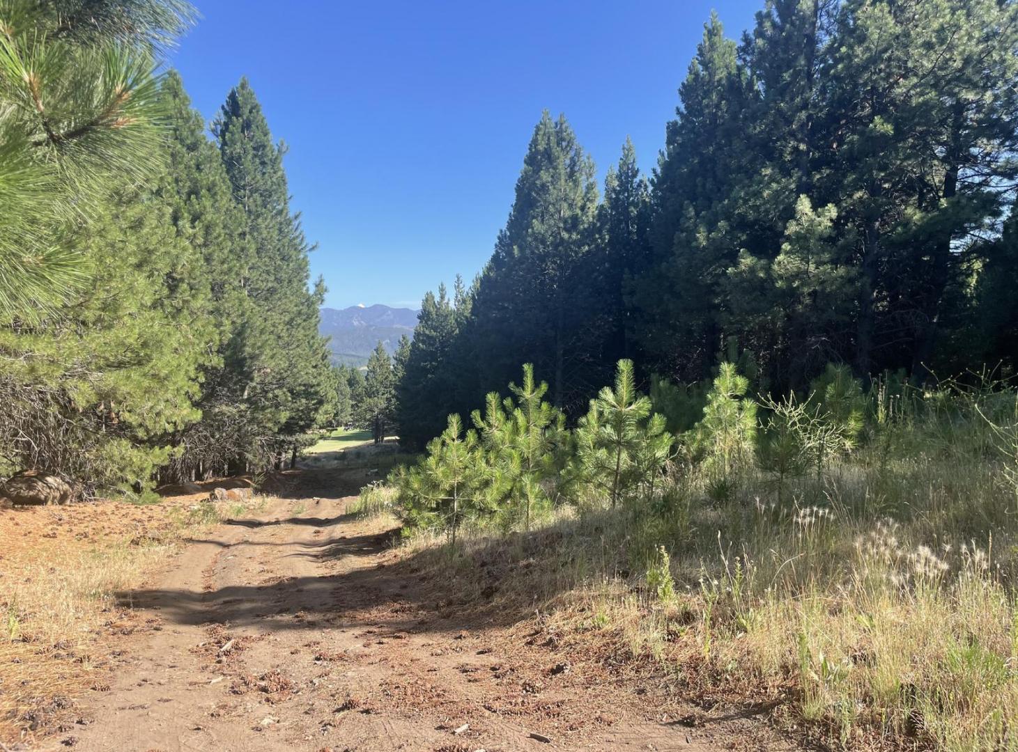 El Desafío Mountain Resort - Lote G-42