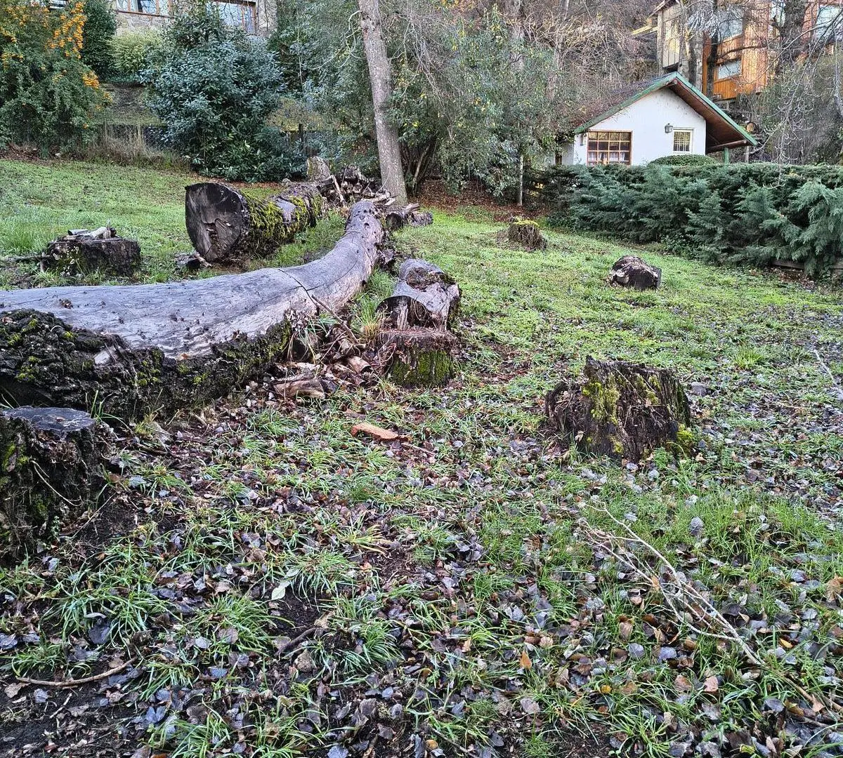 Lote en PH cercano al centro de San Martín de los Andes 4