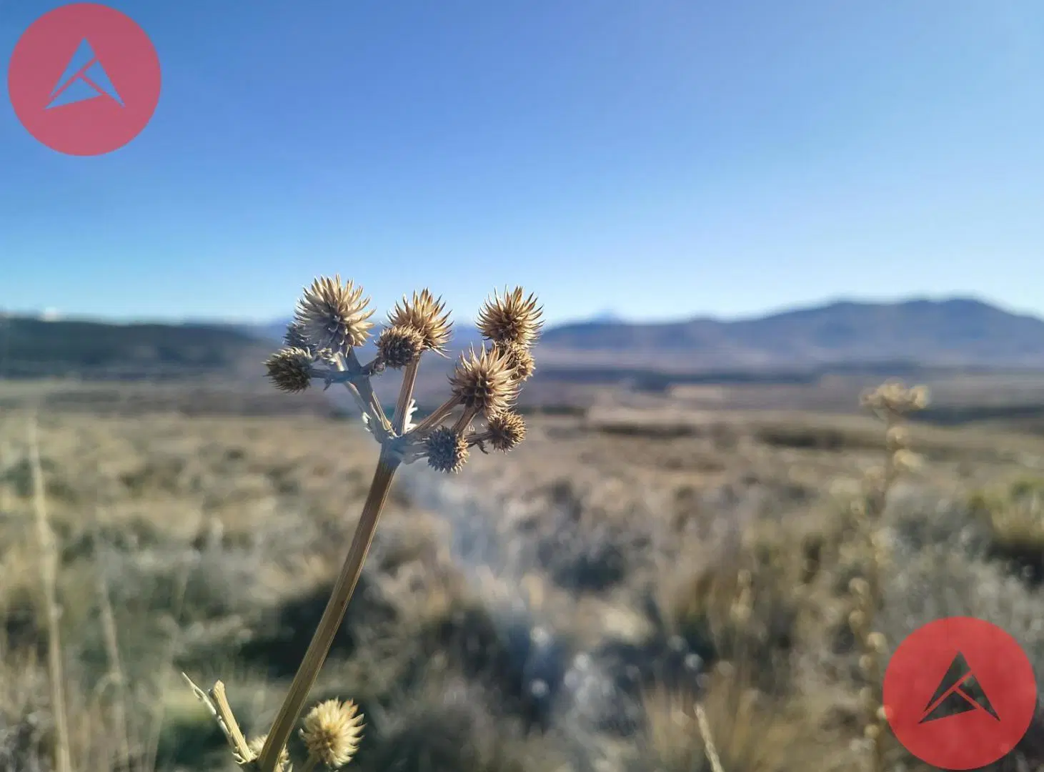Lote en Estancia Leufú, Junin de los Andes 4