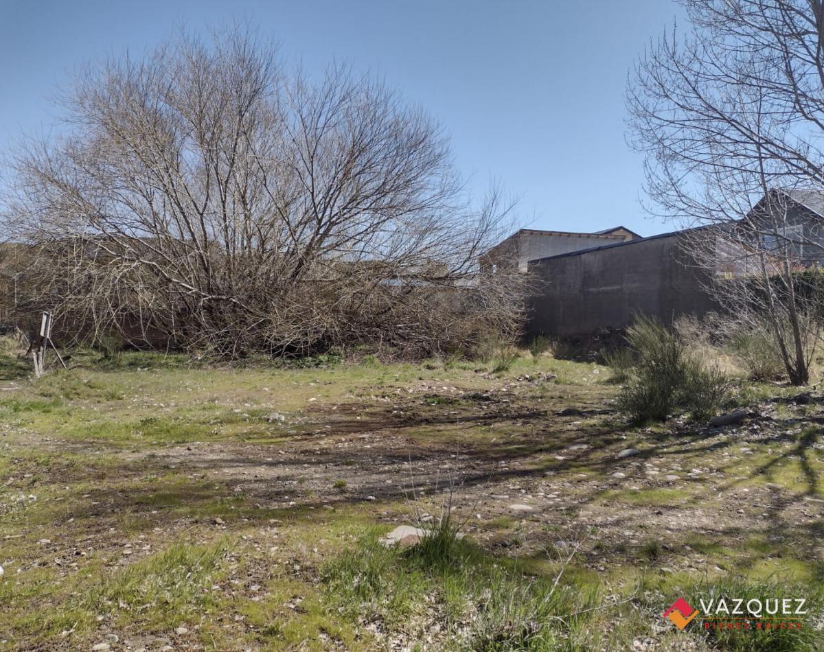 Lote Frente a Rio Chimehuin Ideal Emprendimiento 2