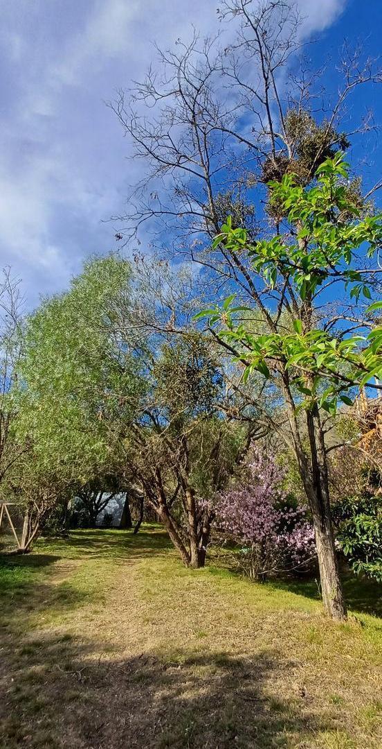 Foto de 4.6 hectareas de montaña. Paraíso con frutales luz agua. Casita de, imagen 1