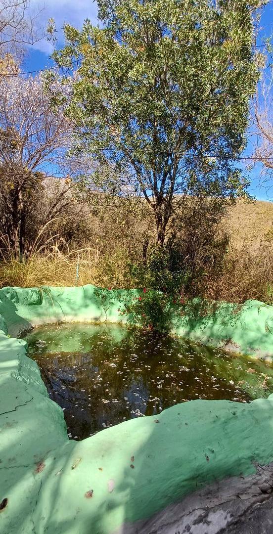Foto de 4.6 hectareas de montaña. Paraíso con frutales luz agua. Casita de, imagen 3