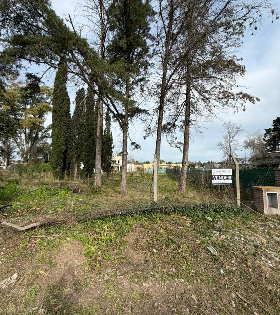 Foto de LOTE EN VENTA EN EL BARRIO JUAN XXIII, imagen 5