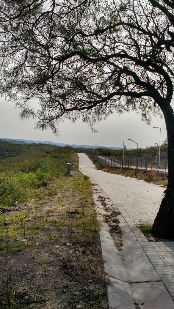 Foto de LOTE en LA DESEADA, imagen 2