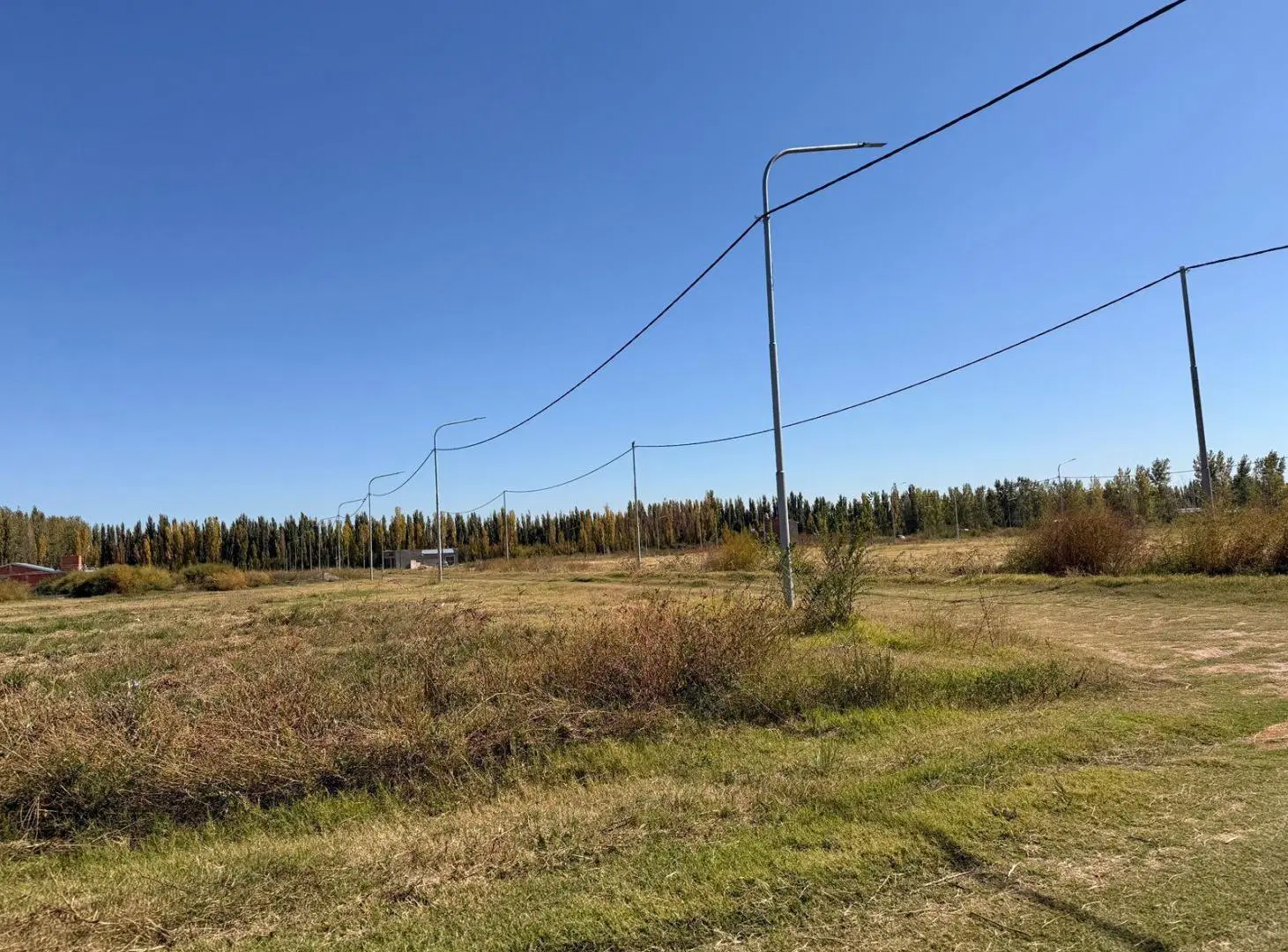 Terreno en venta Allen excelente ubicación 5
