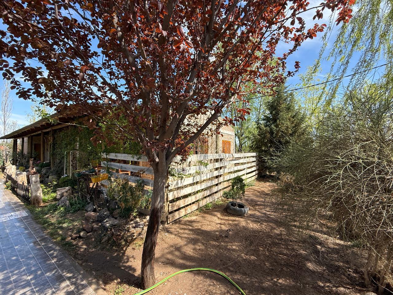 Foto de Quinta en General Roca, imagen 4