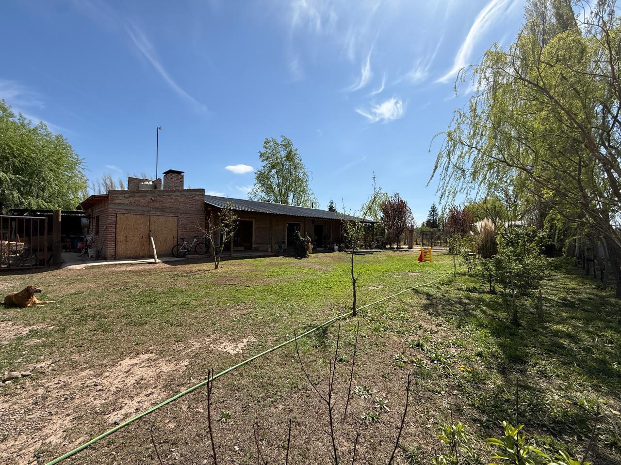 Foto de Quinta en General Roca, imagen 1