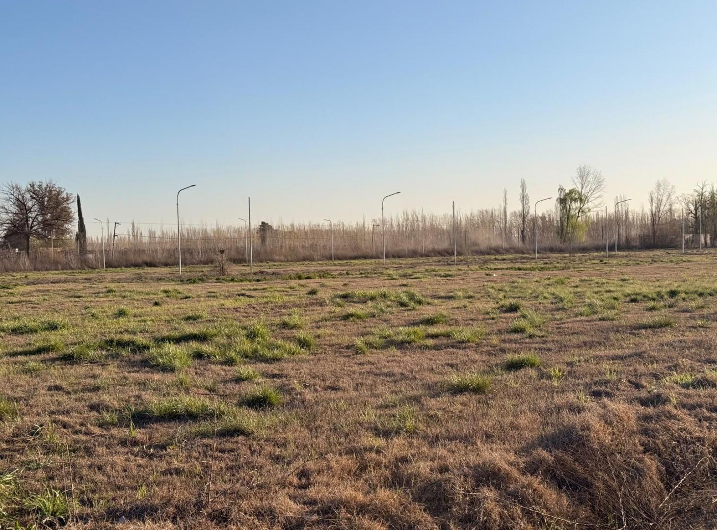Foto de Terreno en venta Allen excelente ubicación, imagen 5