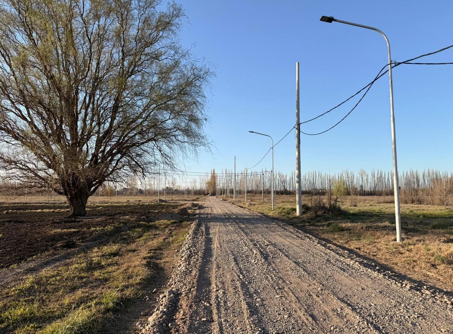 Foto de Terreno en venta Allen excelente ubicación, imagen 3