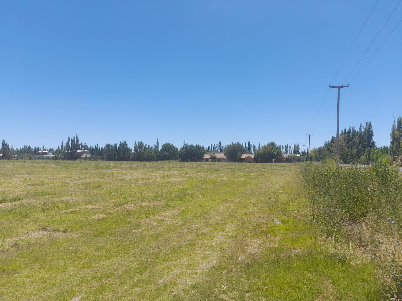 Foto de Terreno en LOTEO DON NICOLAS - ALLEN, imagen 2