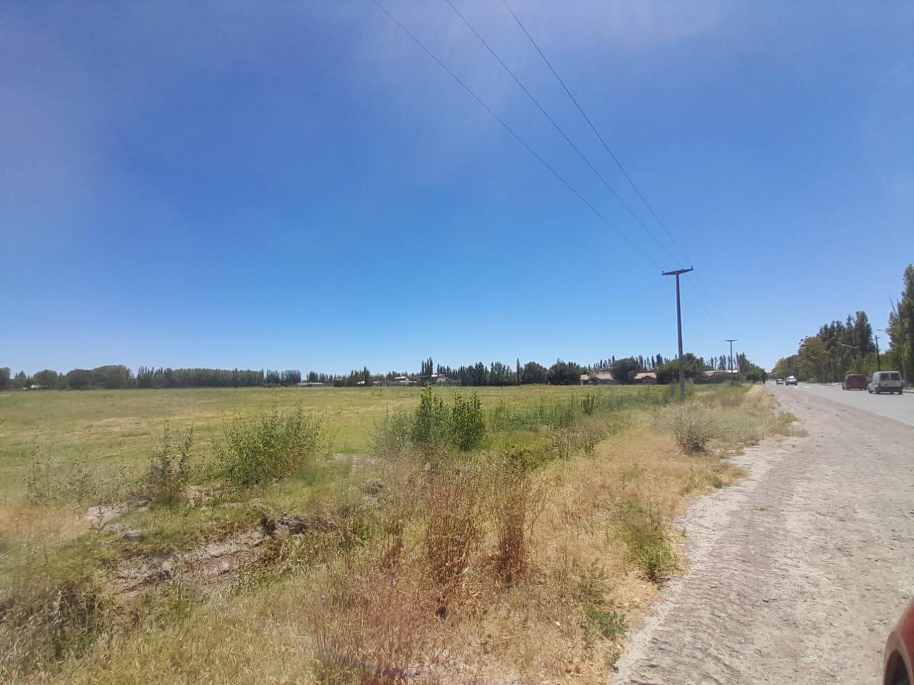 Foto de Terreno en LOTEO DON NICOLAS - ALLEN, imagen 1