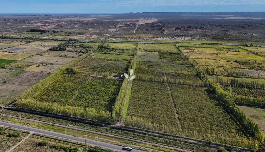 Foto de Urbanizacion Jardin de Mercedes - Allen, imagen 2