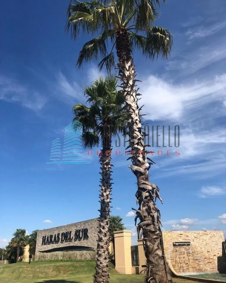 A. VENTA LOTE en HARAS DEL SUR 3 3