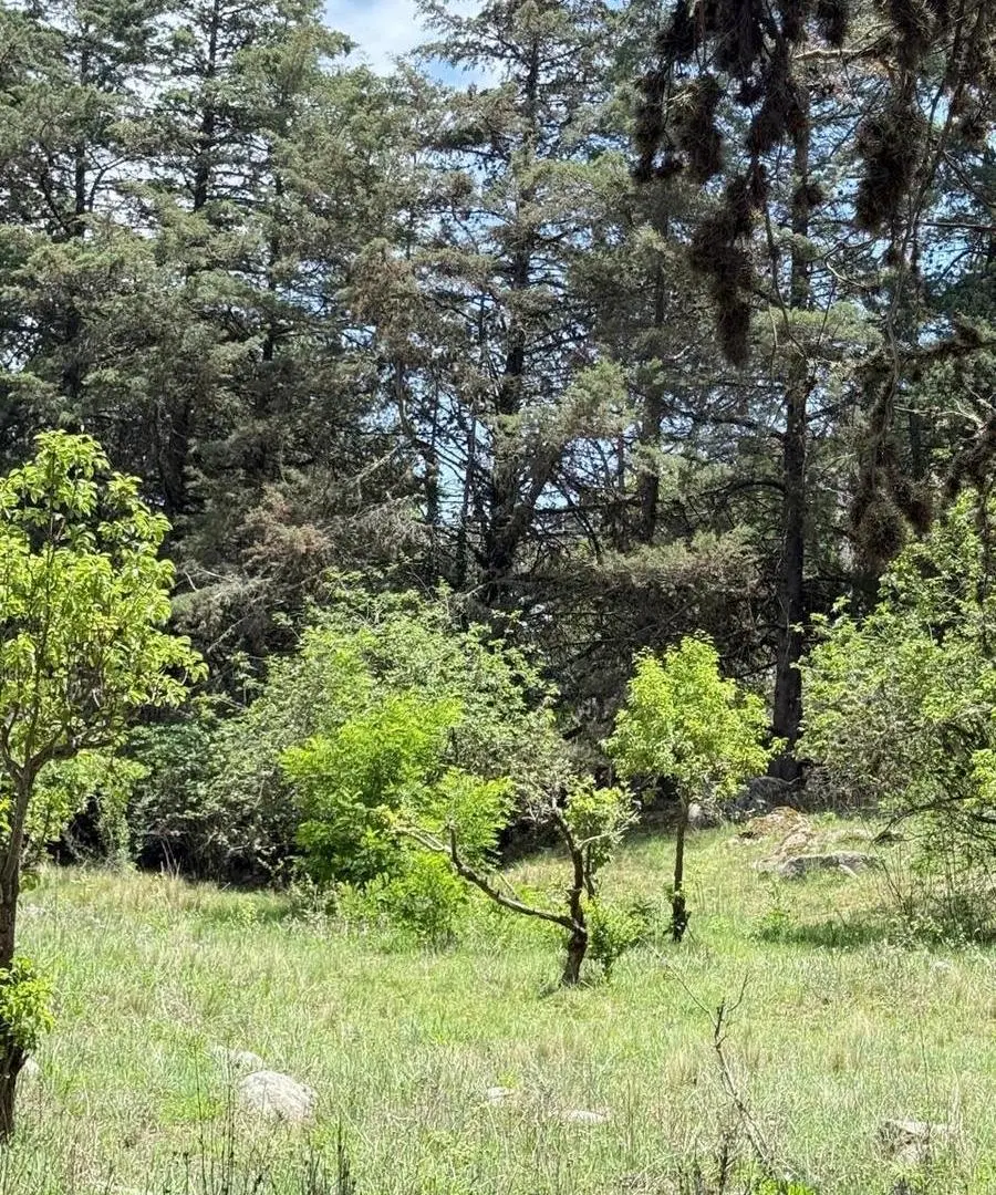 Terreno en venta en La Quebradita, Tafi del Valle 4