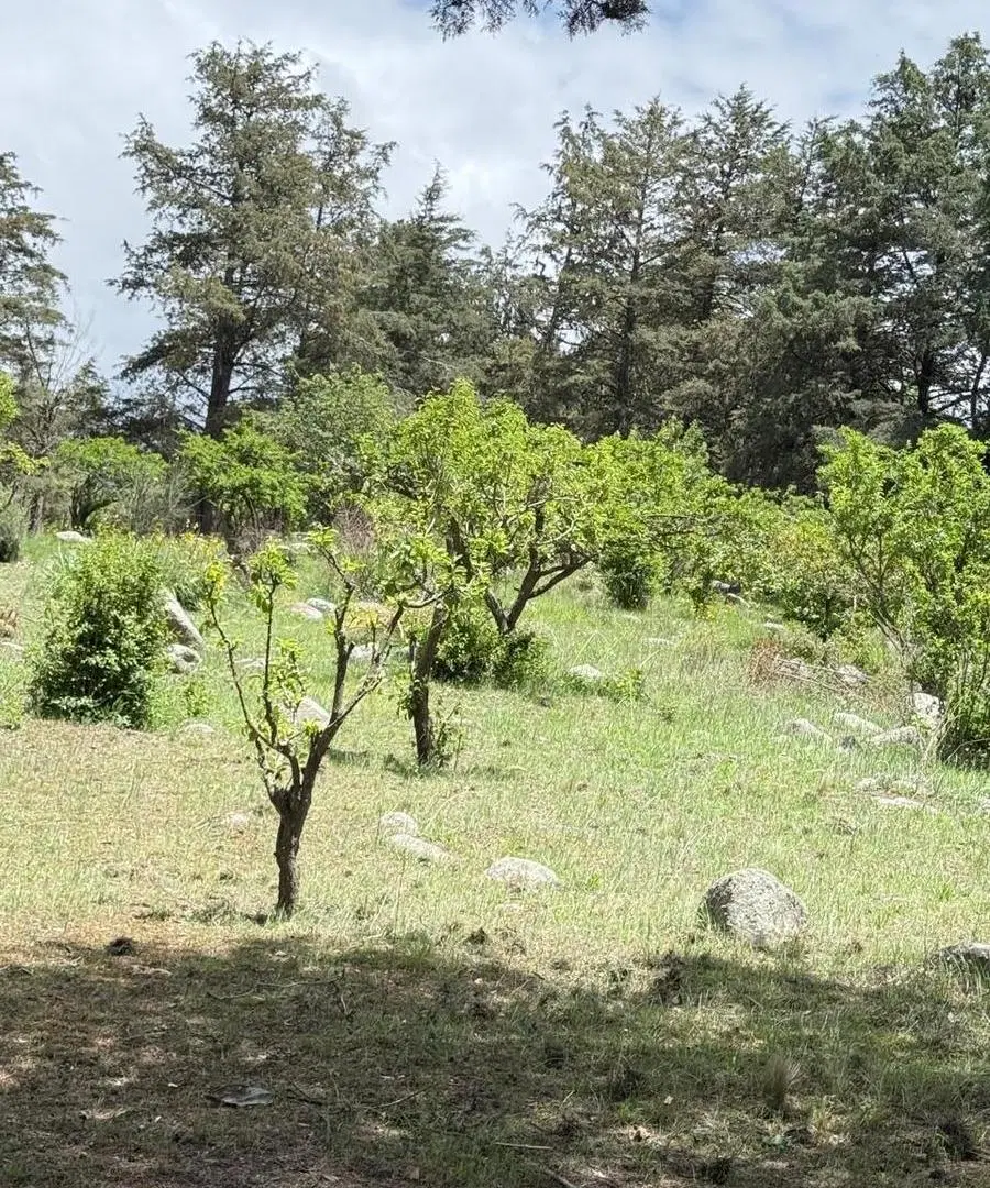 Terreno en venta en La Quebradita, Tafi del Valle 2