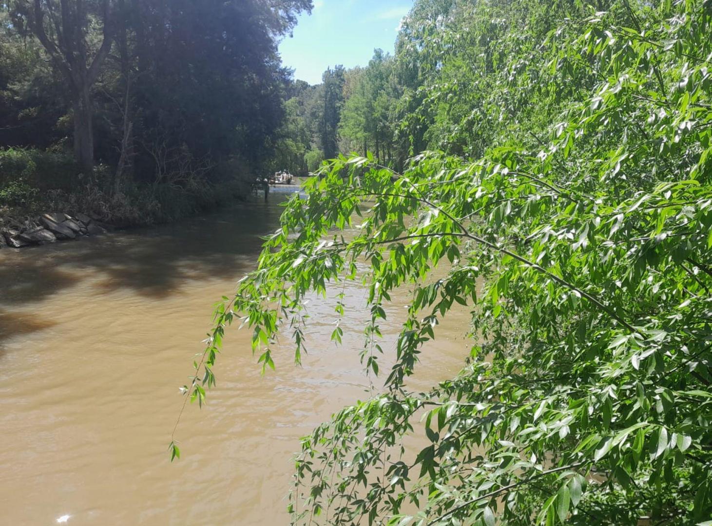 Foto de VENTA LOTE CON MEJORAS TIGRE 1RA ISLAS, imagen 3