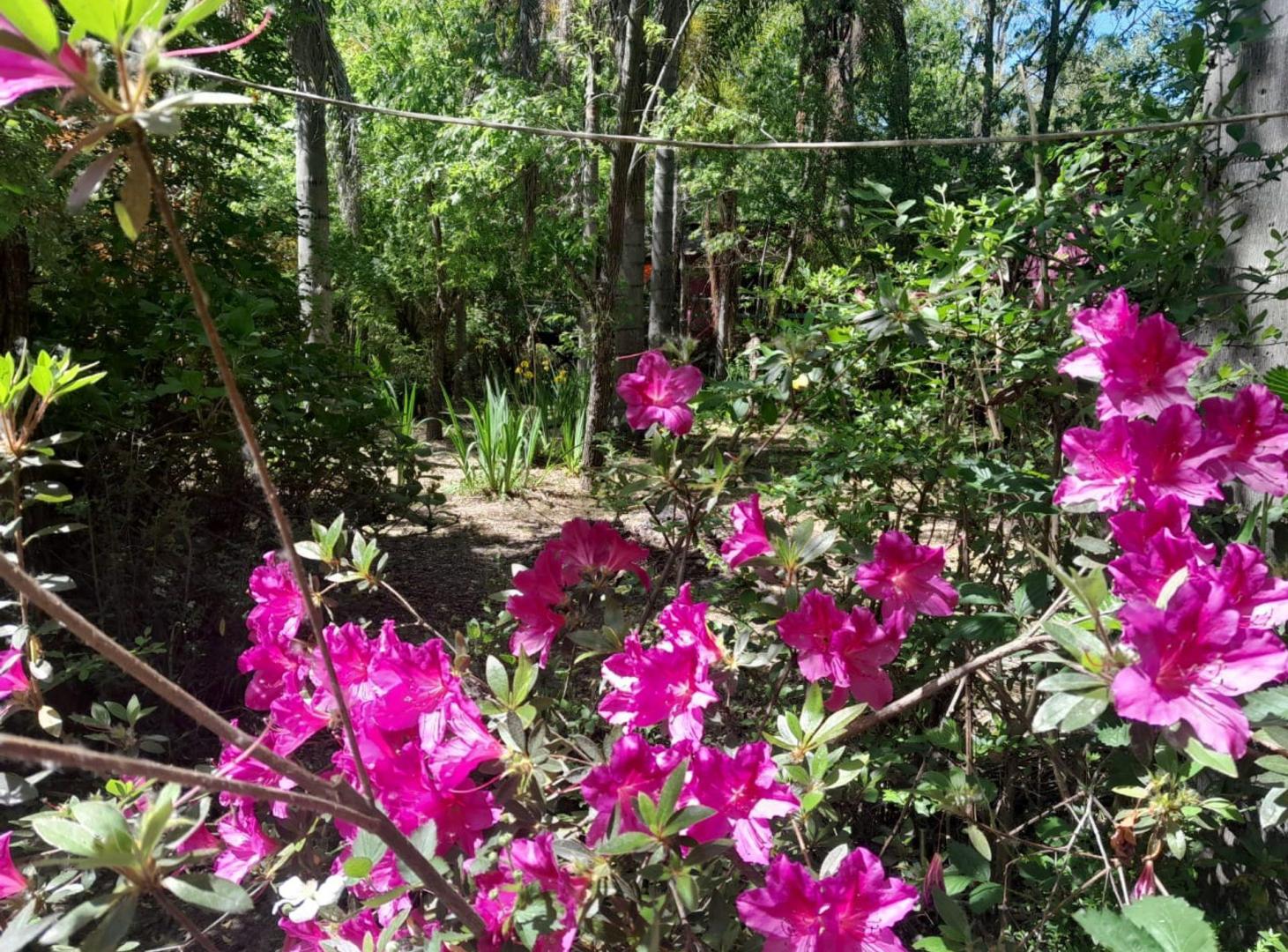 Foto de VENTA LOTE CON MEJORAS TIGRE 1RA ISLAS, imagen 1