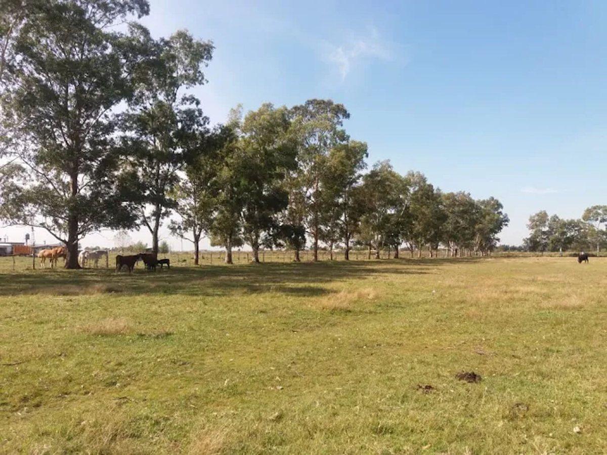 Foto de VENTA LOTE FINCAS DON OCTAVIO FLORENCIO VARELA, imagen 4