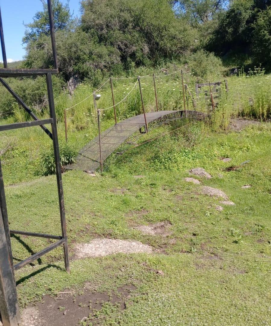 Foto de Campo 200 ha Norte de Cordoba- Se reciben bienes, imagen 4