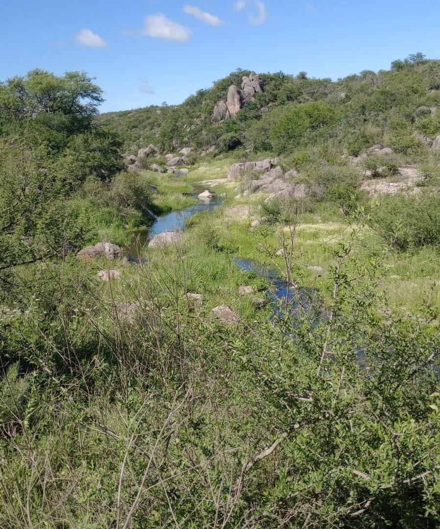 Foto de Campo 200 ha Norte de Cordoba- Se reciben bienes, imagen 2