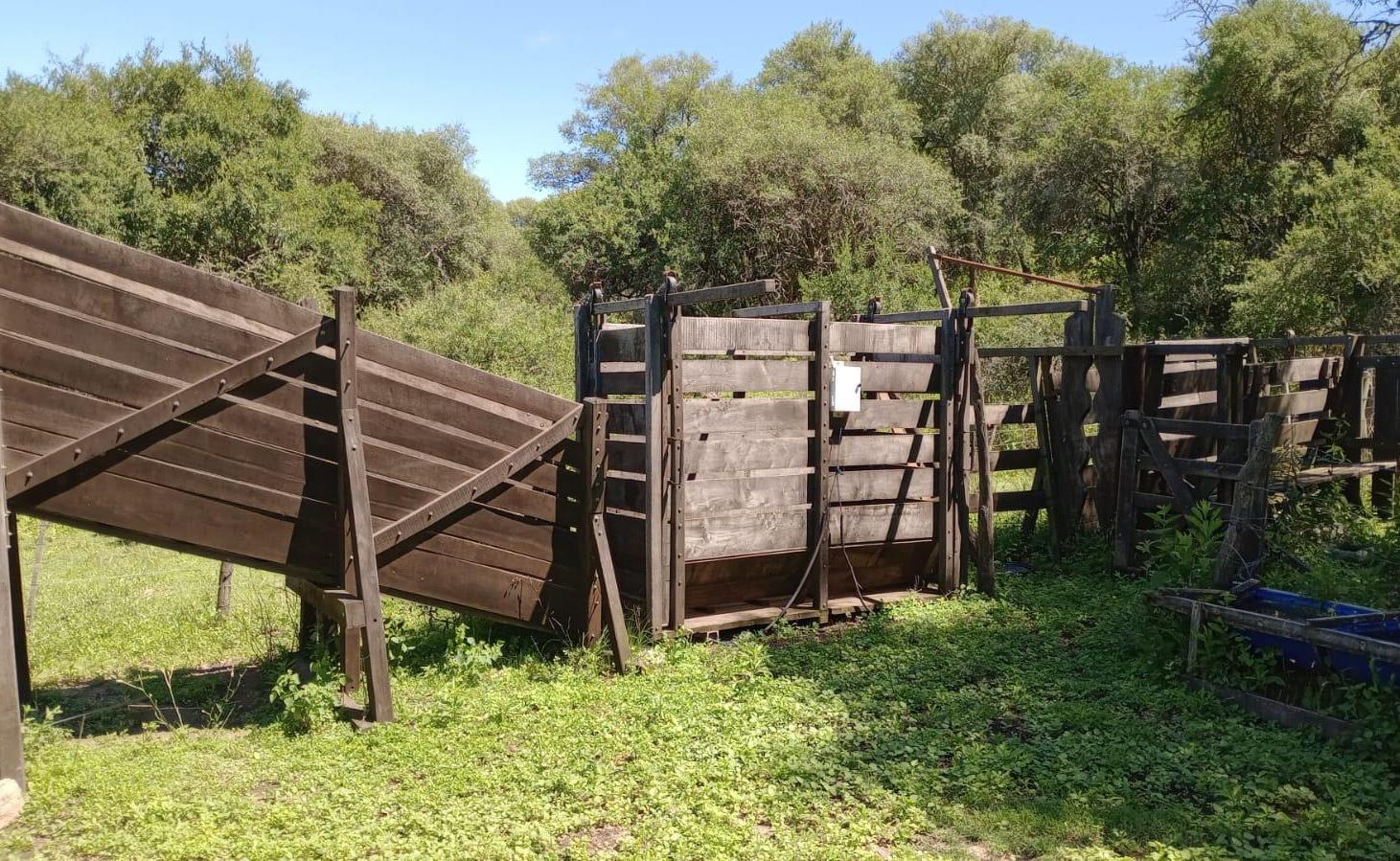 Foto de Campo 200 ha Norte de Cordoba- Se reciben bienes, imagen 3