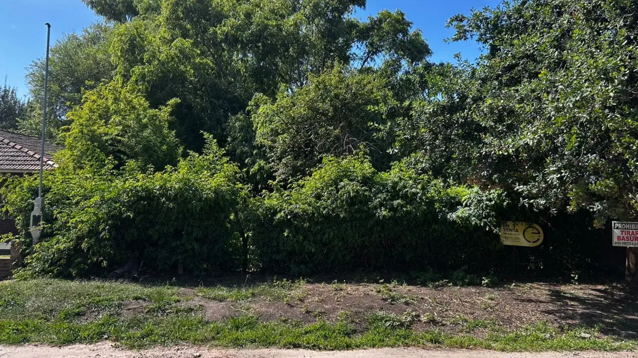 VENTA -  Oportunidad Lote  525m2 - Alfar 8