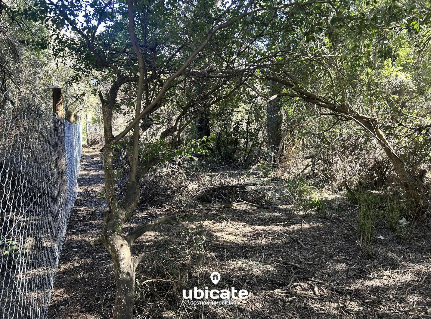 Foto de Lote PH en Entre Cerros: Privacidad, naturaleza y excelente, imagen 5