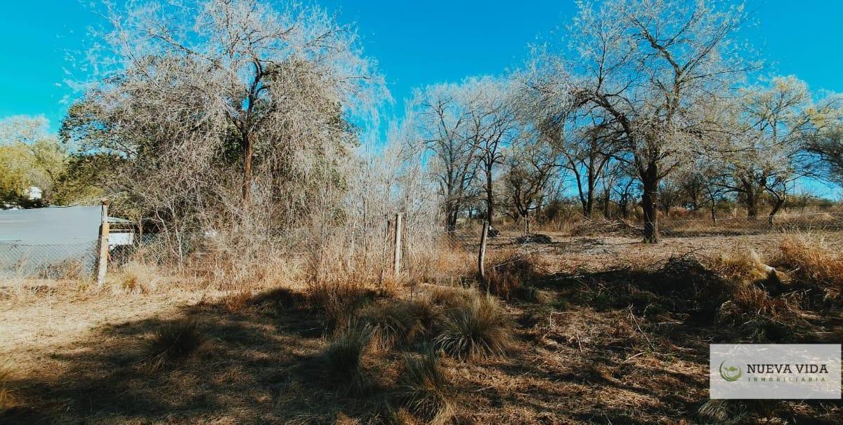 Venta de Terreno en Santa Rosa de Calamuchita 3