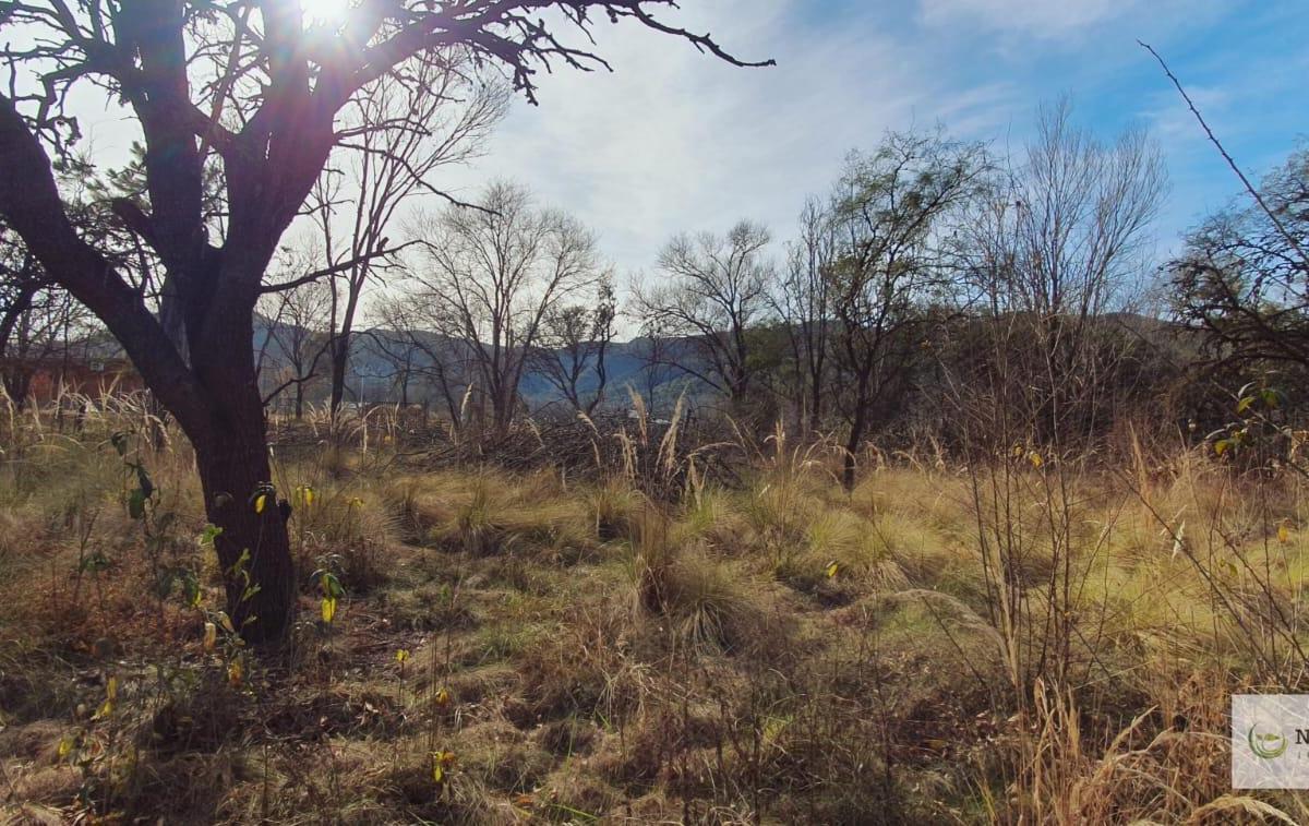 Venta de Terreno en Santa Rosa de Calamuchita 5