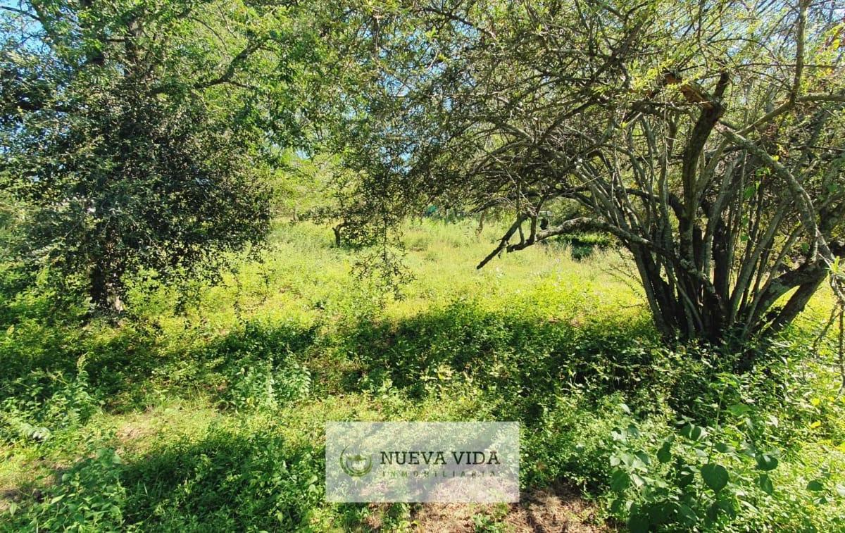 Venta de Terreno en Santa Rosa de Calamuchita, B° Santa Monica 5