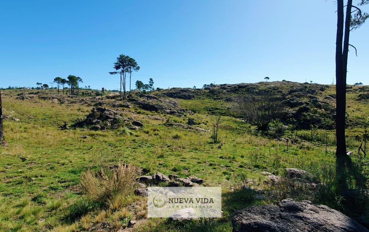 Venta de Hectáreas en Yacanto. Valle de Calamuchita 5