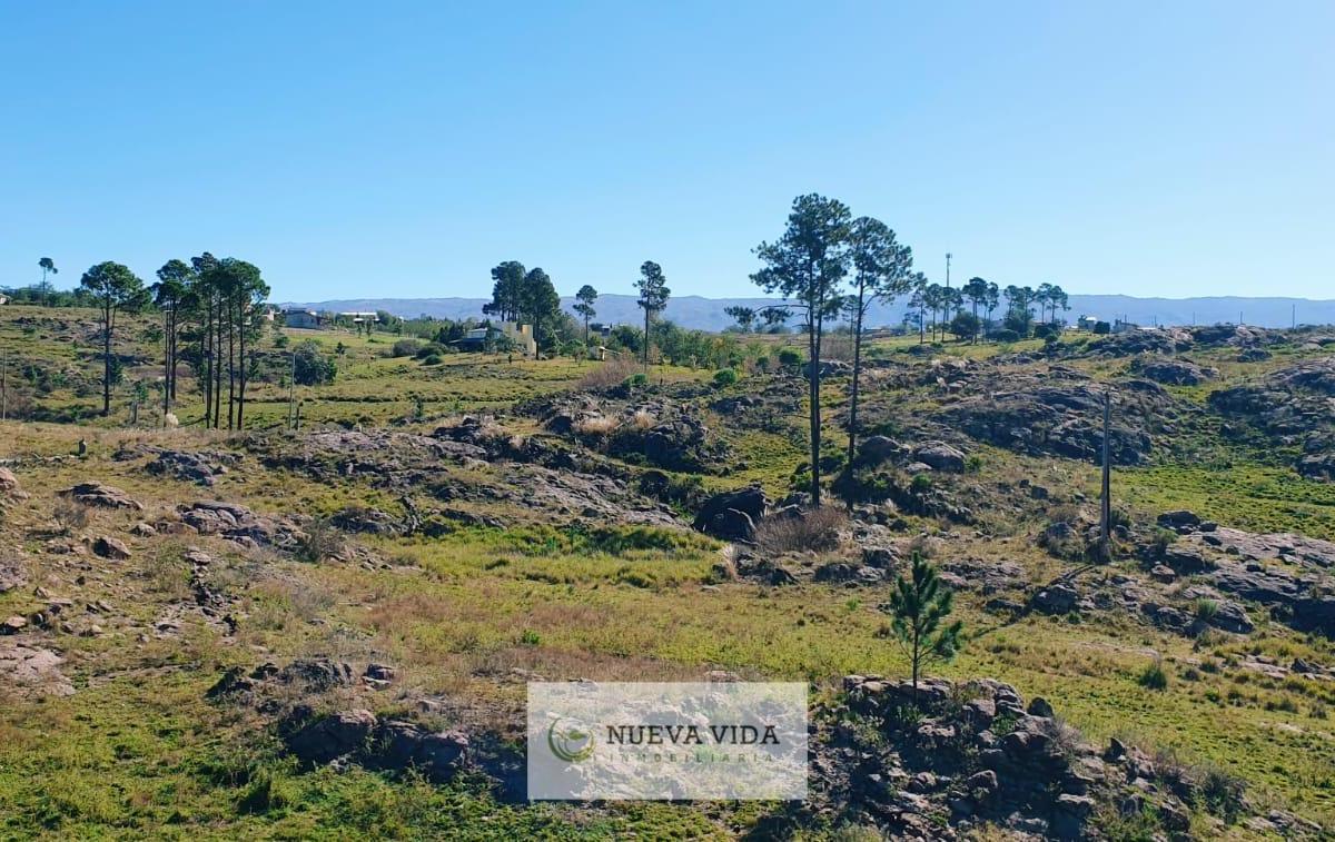 Venta de Hectáreas en Yacanto. Valle de Calamuchita 2