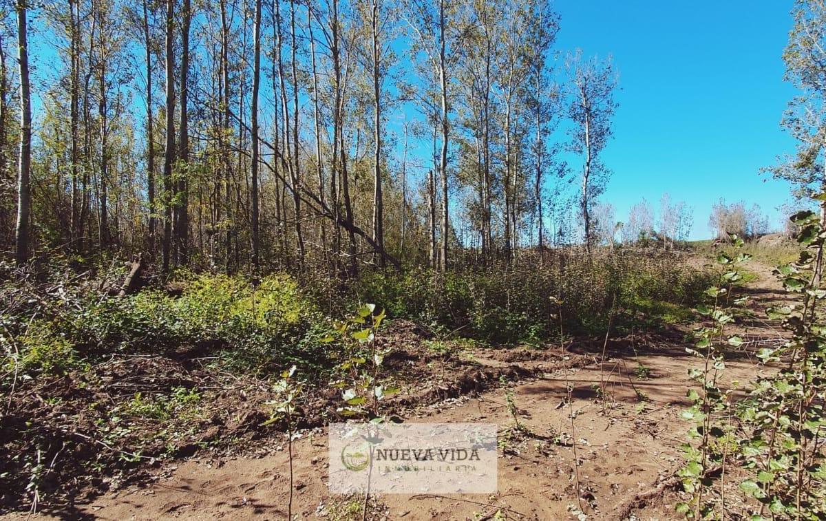 Venta de Terreno en Yacanto de Calamuchita 4