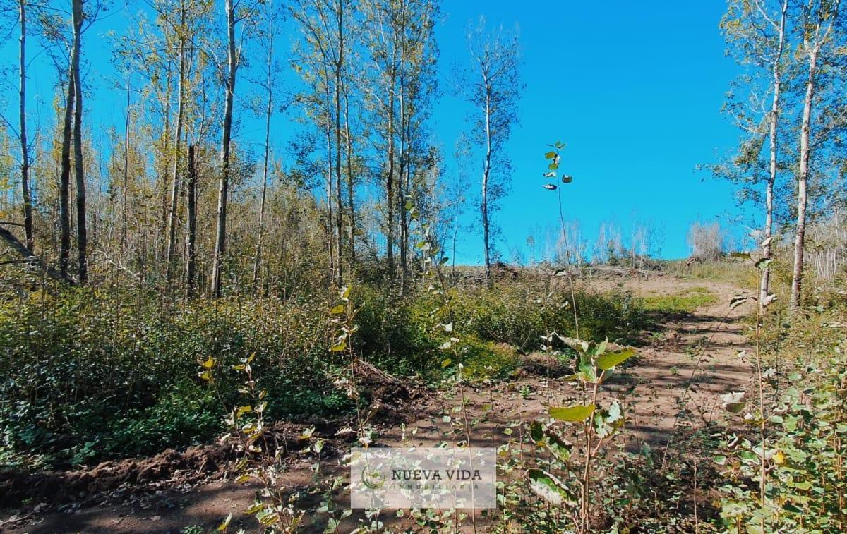 Venta de Terreno en Yacanto de Calamuchita 5