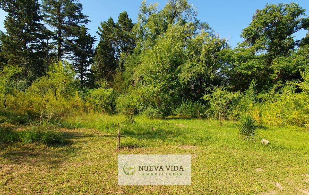 Venta de Terreno en Santa Rosa de Calamuchita Cercano Al Rio 3