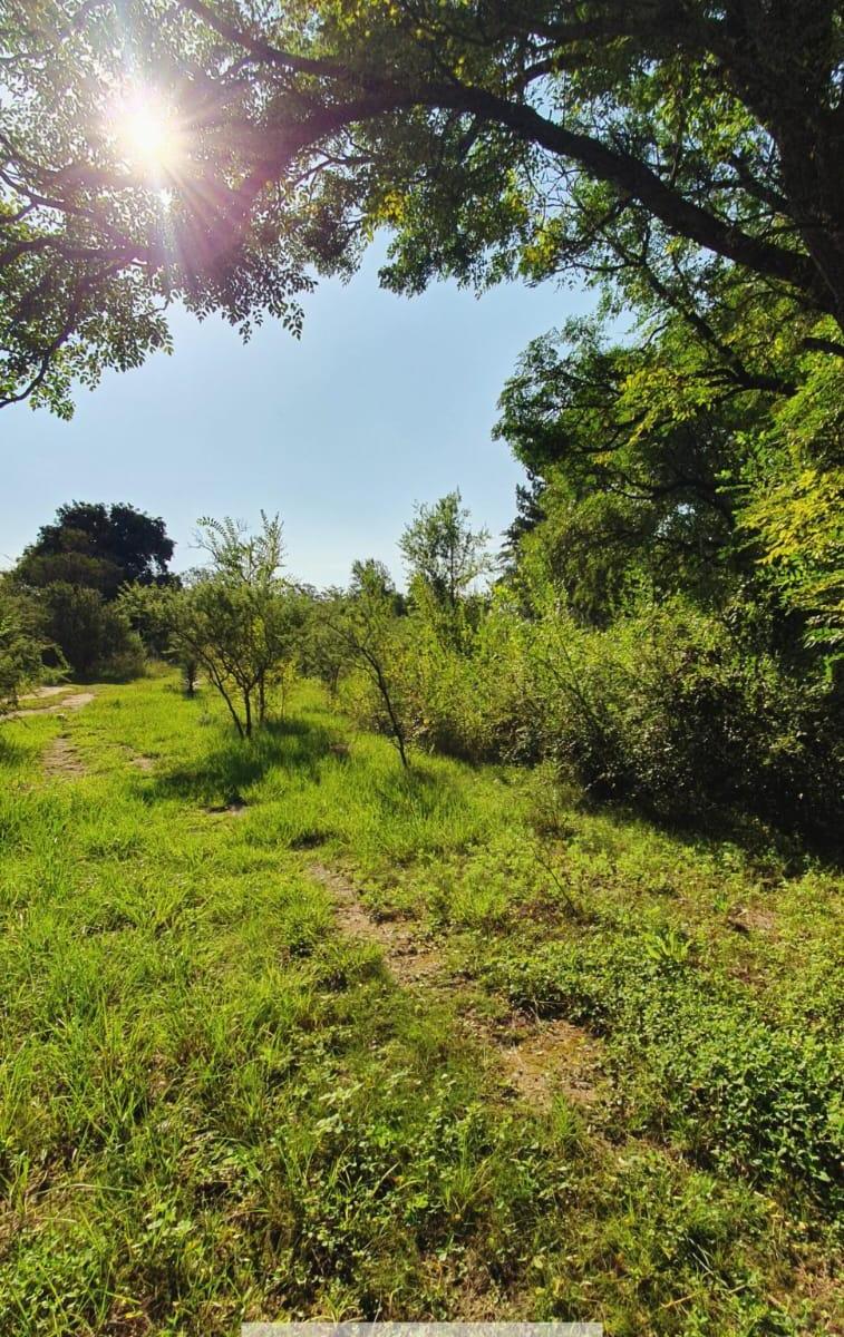 Venta de Terreno en Santa Rosa de Calamuchita Cercano Al Rio 5