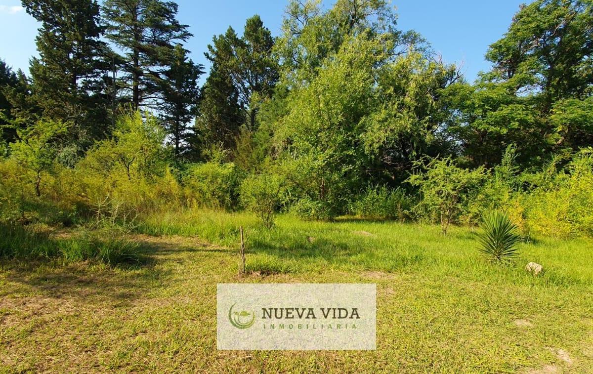 Venta de Terreno en Santa Rosa de Calamuchita Cercano Al Rio 4